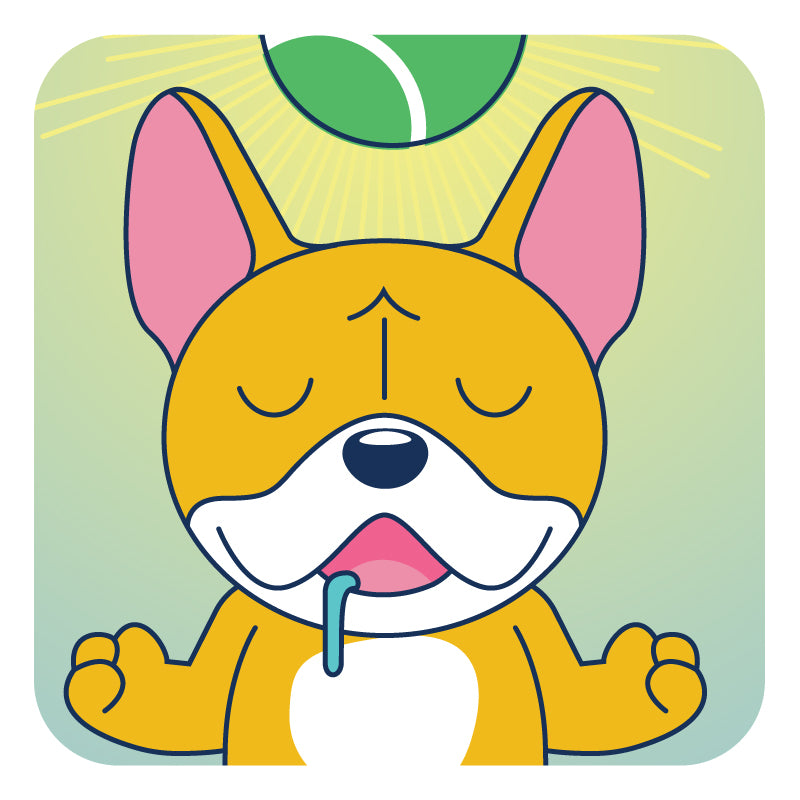 Meditation